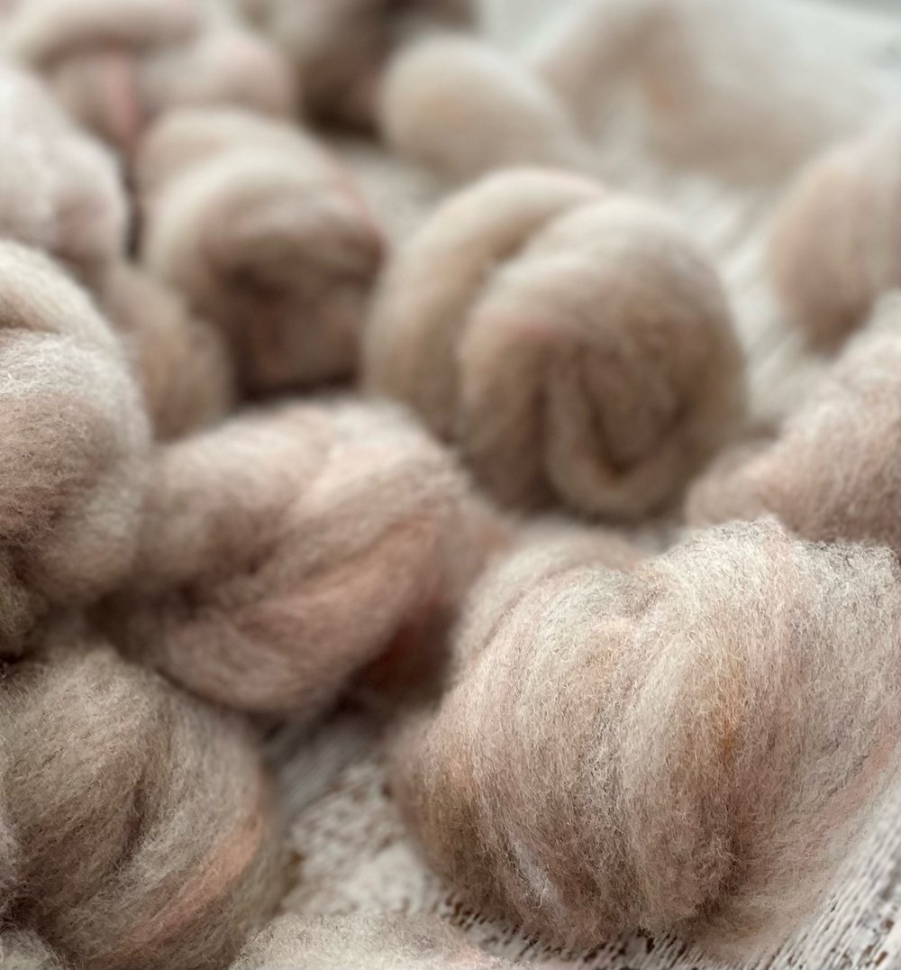 4 oz. • Porcelain Pumpkin roving: on Romney lamb & Columbia lamb from Iron Water Ranch, Targhee