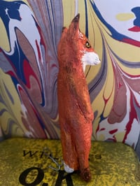 Image 4 of Scout the fox