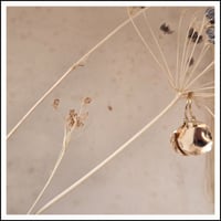 Image 4 of Shimmer