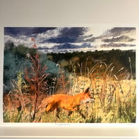 The Sugarwell Fox - Signed Archive quality Print (A4 or A3)
