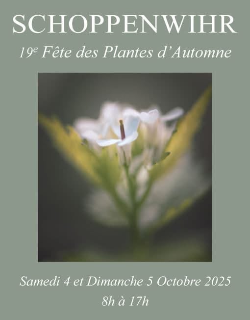 Image of Samedi 4 & Dimanche 5 Octobre 2025 FDP d'Automne de Schoppenwihr Stand N 1