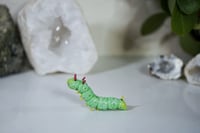 Image 4 of Spike the Caterpillar