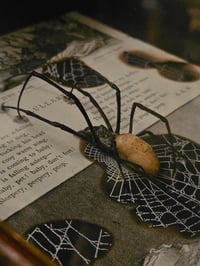 Image 9 of Statement "Lullaby"  1897 Taxiderny orbweaver Spider & Preserved Web