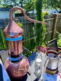 Image 5 of Rosemary-Mint  Hydrosol