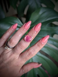 Image 2 of Desert Rose Pearl