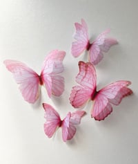 Image 2 of Cherry pink (set of 4)