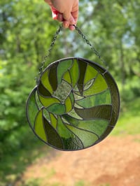 Image 2 of Fiddlehead Fern