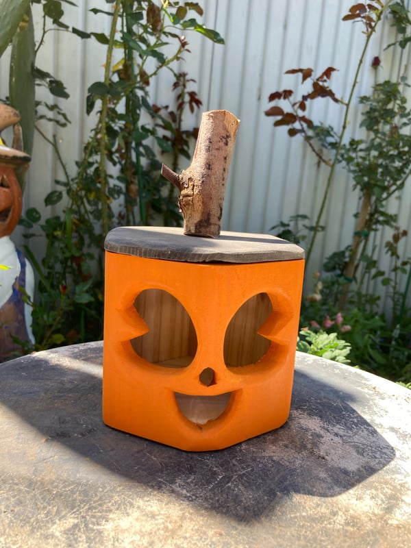 Image of Happy Orange Jack