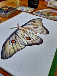 Image 2 of Ghostly Moth ORIGINAL ARTWORK