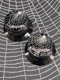 Image 3 of Preserved Web Guitar potentiometer knobs x2 - Set 4