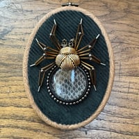 Image 4 of Snake skin spider (c, 4x5 inches)