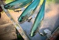 Image 3 of 6” Cutt Throat RIGGED Swimbaits - “The ONE”