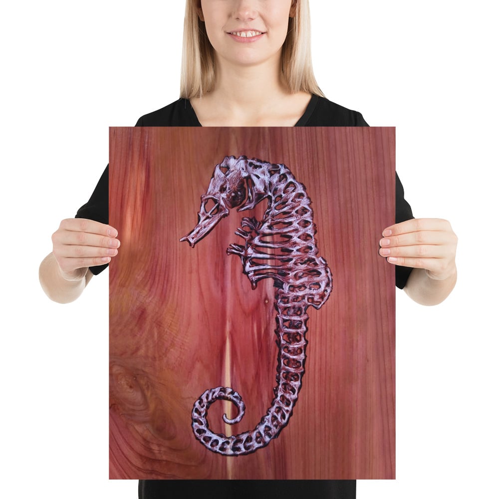 Photo Print: Seahorse Skeleton