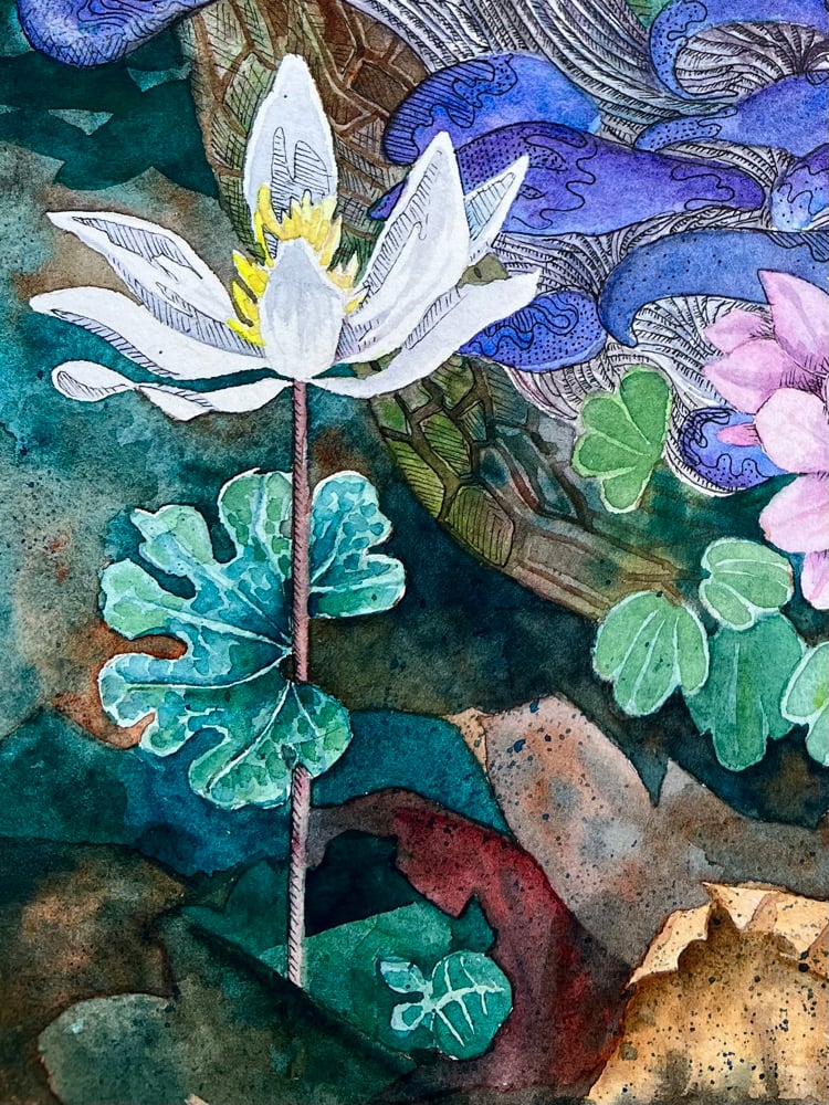 Image of Forest & Foxes