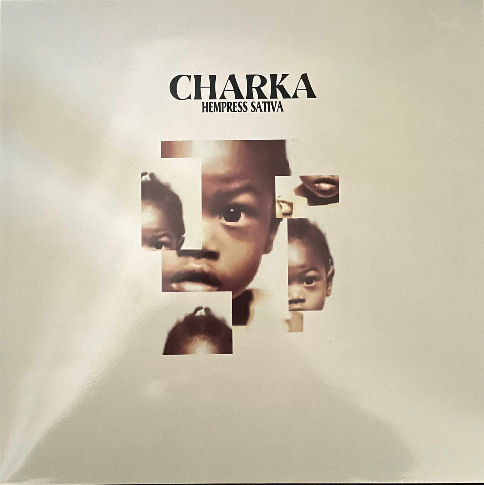 Chronixx - Chronology Vinyl LP / Cali Vibes Clothing & Records