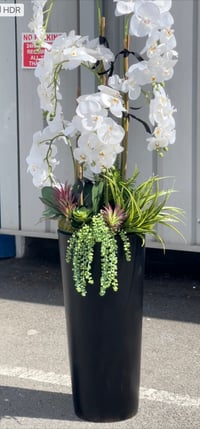 Image 1 of NEW! Extra tall silk with succulents floor standing orchid 