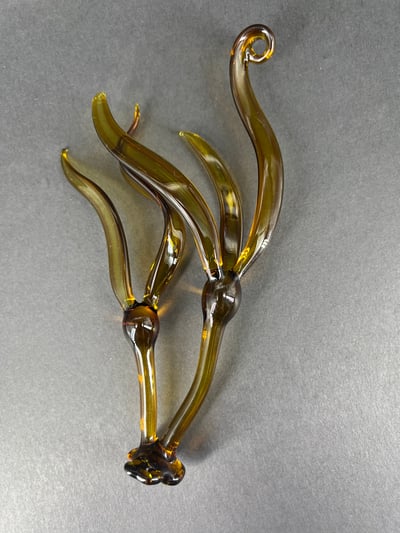 Image of Double Bull Kelp Ornament