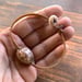 Image of Snake’s head cowrie bracelet on hand braided sinew, your size