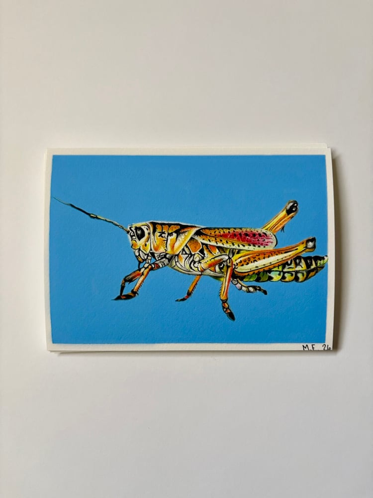 Image of Eastern Lubber Grasshopper Print