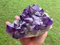 Image 5 of Amethyst Points Cluster | Congo #2868