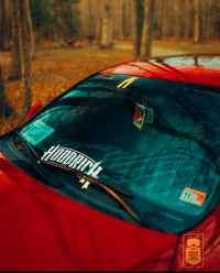 Image 1 of HOODRICH Banner