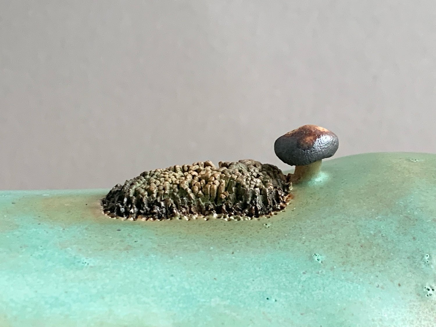 Image of Troll House 