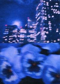 Image 5 of PANSY, NIGHT DRIVE