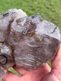 Image 15 of Smoky Quartz & Red Rutile Enhydro Multi Terminated Crystal | Zambia #3052