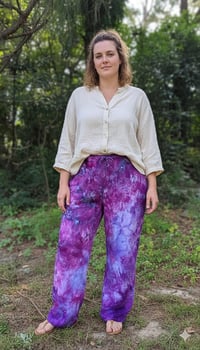 Image 1 of Purple Mums