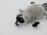 Image 13 of Raccoon Charms