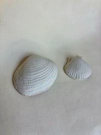 Image 1 of Porcelain Shells - Worry Stone Set