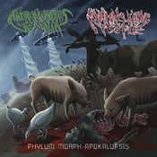Image of ANIMALS KILLING PEOPLE (USA) / ANDROMORPHUS REXALIA (USA) Split CD "Phylum Morph-Apokalupsis"