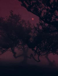 Under the Blood Moon II