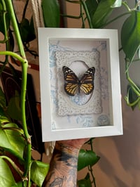 Lacey monarch butterfly box 