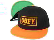 Image of Orange/Black/Green Obey Snapback