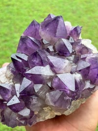 Image 19 of Amethyst Points Cluster | Congo #2868