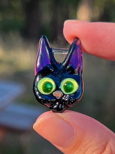 Image of Halloween kitty