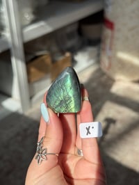 Image 24 of CHOOSE YOUR OWN MINI LABRADORITE FREEFORM -MADAGASCAR-