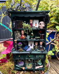 Image 1 of Green Shelf (Medium)