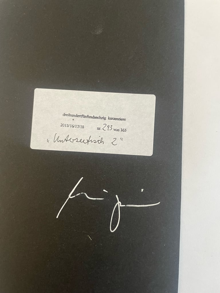 Original! Kerzentier „Unterseefisch 2“ Image 2