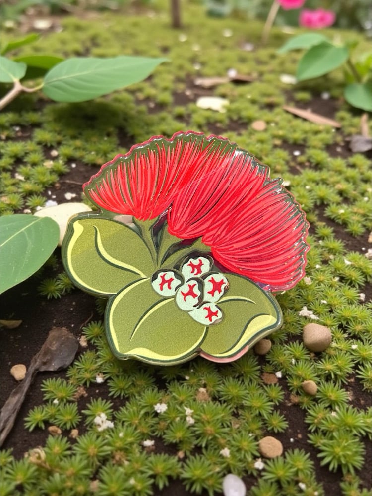 Image of Ohia Hunny Girl 2.0 Claw Clip