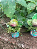 Random Audrey2