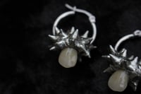 Image 7 of Dead Good spikey dentures earrings