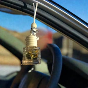 Image of Car Diffusers