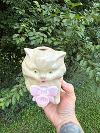 Image 6 of Medium Kitties 