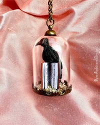 Image 5 of Edgar Allan Poe Raven Glass Dome Necklace