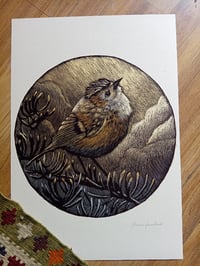 Image 1 of Regolo - Goldcrest