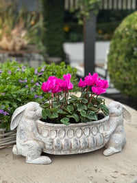 Image 1 of Twin Bunny Garden Planter