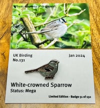 Image 1 of White-crowned Sparrow - No.131 - UK Birding Series