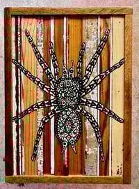 Image 1 of Desert Friend